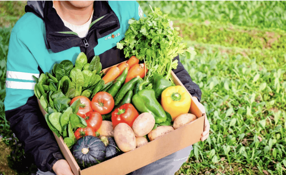 加碼航空運(yùn)輸,快遞企業(yè)出海提速-物流之家