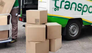 菲律賓的電商市場表現火熱 全球各大跨境電商爭相入駐-物流之家