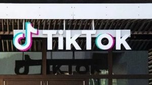 TikTok在東南亞投資數十億美元 用于培訓、廣告和支持小型供應商-物流之家