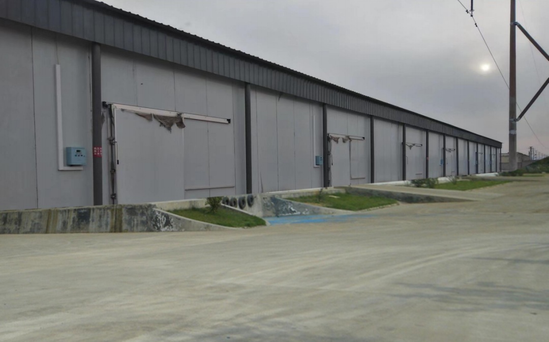 鏈庫與包頭市綠色農家農民專業合作社達成合作-物流之家