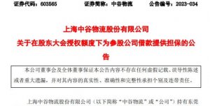 中谷物流發行限售股 共1,457,102,081股-物流之家