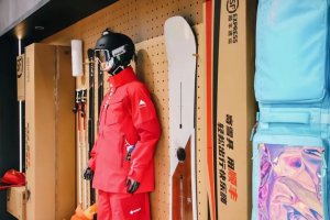 順豐上線“一鍵退貨”和“網購退貨”功能?-物流之家