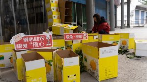 極兔重慶奉節(jié)網(wǎng)點(diǎn)日均發(fā)出萬(wàn)單臍橙-物流之家