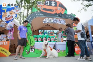 滴滴送貨針對“急用易損”貨物推出“安心送”服務-物流之家