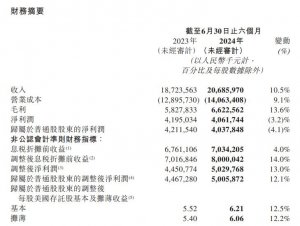 中通快遞于上半年實現(xiàn)營收 206.86 億元,較去年同期增長 10.5%-物流之家