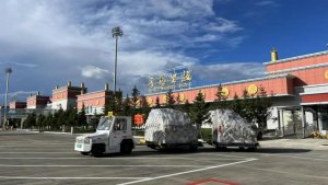 在 2024 年,順豐松茸全貨機的運輸貨量達到了前所未有的高度,創下了歷史新紀錄-物流之家