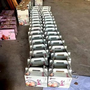 申通快遞構建“水蜜桃專線”,達成江浙滬次晨達之服務成效-物流之家